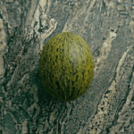 Melón
