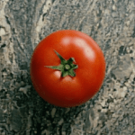 Tomate